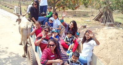 Bullock Cart Rides