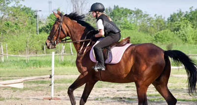 Horse Riding