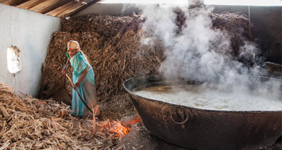 Village/ Jaggery site visits